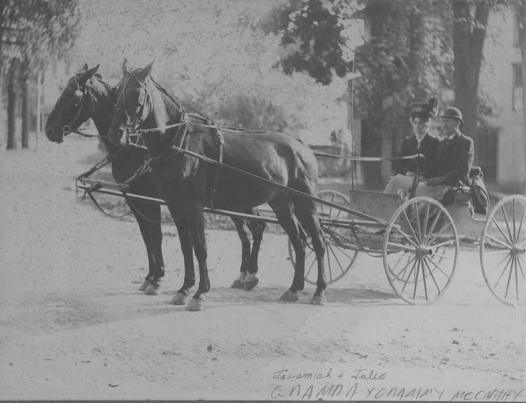 jeremiah_julia_mcCarthy